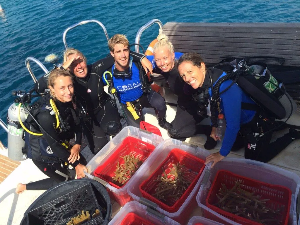 Coral Nursery, photo 20