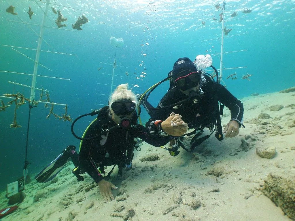 Coral Nursery, photo 3