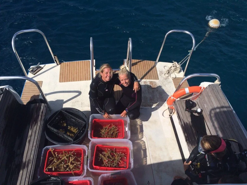 Coral Nursery, photo 19