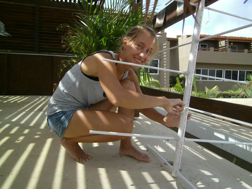 Coral Nursery, photo 18