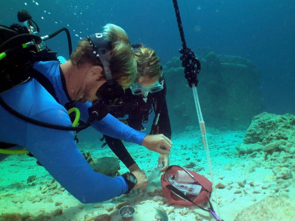 Coral Nursery, photo 13