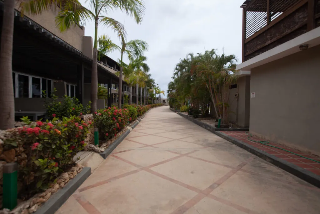 Apartamento de dos dormitorios con terraza, foto 13