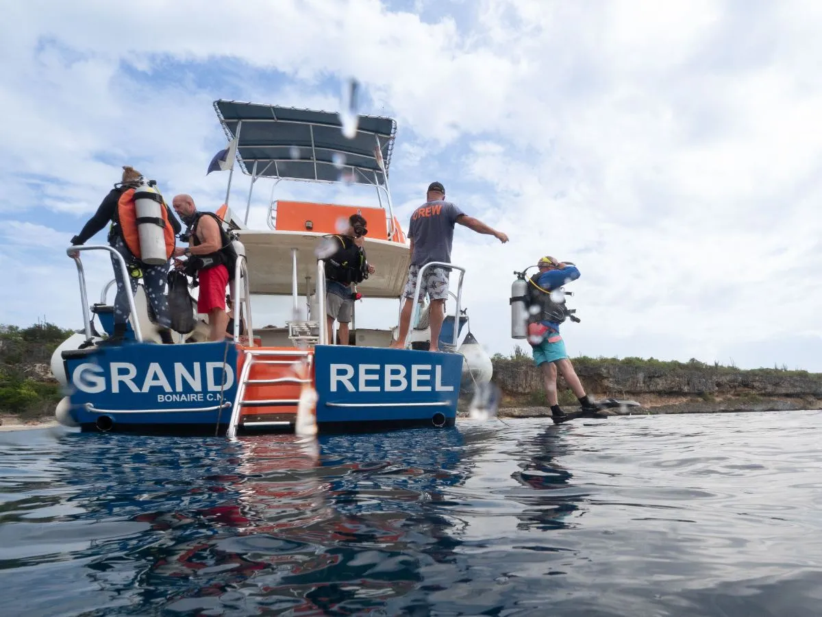 Divers on the Wannadive dive boat